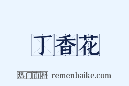 丁香花是什么意思的图片